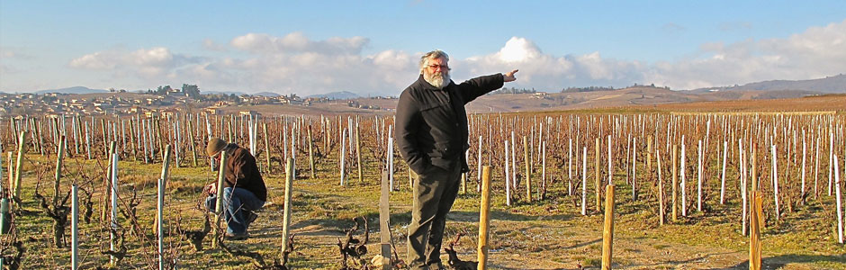 Galeria do Vinho 3