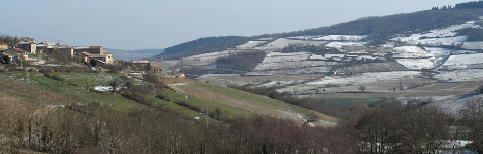 Domaine Combier
