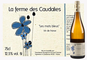 Le mots bleus 2011